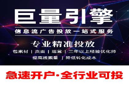 案例分析：高效信息流广告投放策略